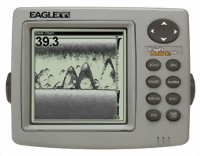 eagle-fishmark480-medium.jpg